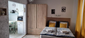 1 rue des romains studio meublé clauss